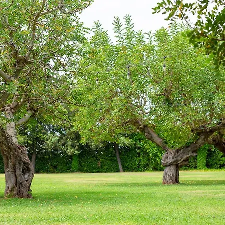 Masseria Baroni Nuovi Vakantieboerderij