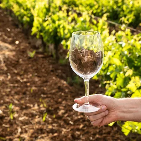 Alloggio per agriturismo Masseria Baroni Nuovi