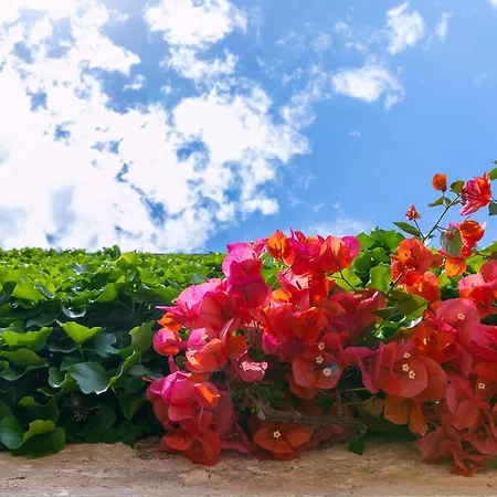 Vakantieboerderij Masseria Baroni Nuovi Brindisi