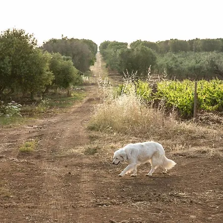 Masseria Baroni Nuovi *