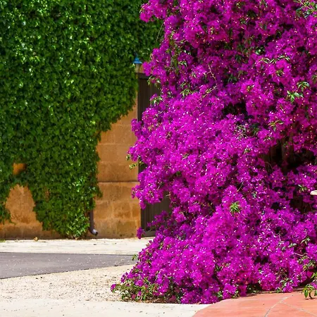 Masseria Baroni Nuovi