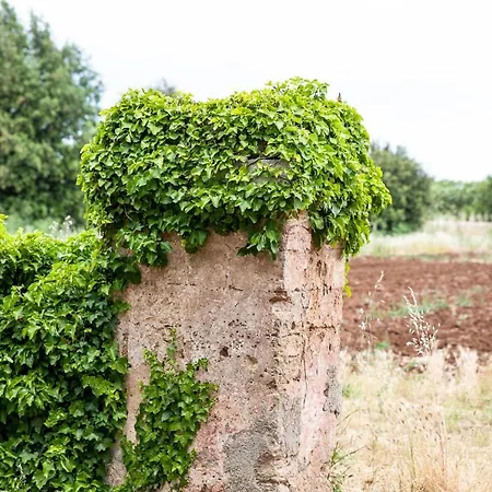 Masseria Baroni Nuovi *