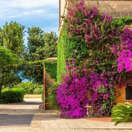 Masseria Baroni Nuovi